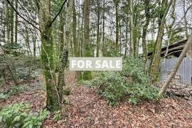 Detached Villa With Garden