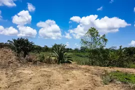 8 Acres Farm in Stann Creek Valley Belize