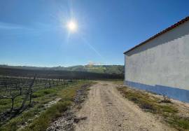 Homestate with 36 ha in Vila Franca de Xira.