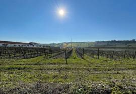 Homestate with 36 ha in Vila Franca de Xira.