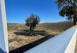 Homestate with 36 ha in Vila Franca de Xira.
