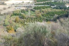 Agricultural field for sale  in Miliou village