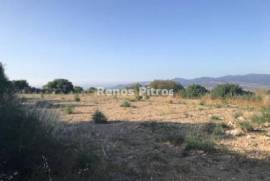 Piece of Land in Kathikas Village for sale
