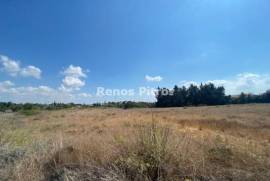 Four adjacent  fields for sale at Coral Bay area of Pegeia Municipality