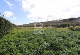 Land with 2,090.00 m2 - Santana - Northeast