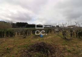 Land with 2,090.00 m2 - Santana - Northeast