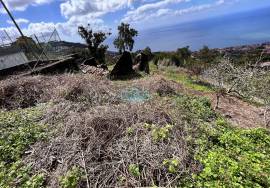 Land Funchal sao joao latrao