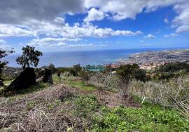 Land Funchal sao joao latrao