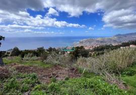 Land Funchal sao joao latrao
