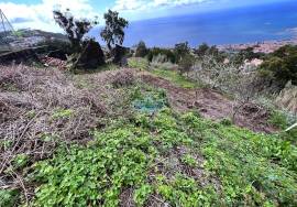 Land Funchal sao joao latrao
