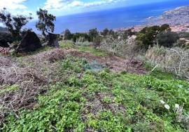 Land Funchal sao joao latrao