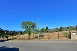 Urban Plot in Ferrel Urban Plot in Ferrel