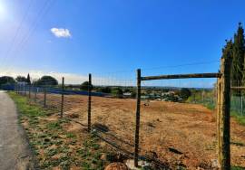 Urban Plot in Ferrel Urban Plot in Ferrel