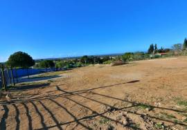 Urban Plot in Ferrel Urban Plot in Ferrel