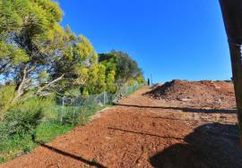 Urban Plot in Ferrel Urban Plot in Ferrel