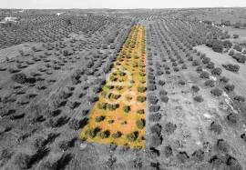 Land Alandroal Land Alandroal