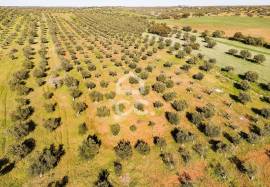 Land Alandroal Land Alandroal