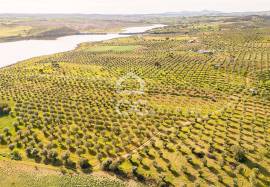 Land Alandroal Land Alandroal