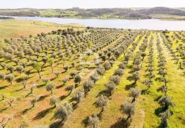 Land Alandroal Land Alandroal