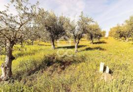 Land Alandroal Land Alandroal
