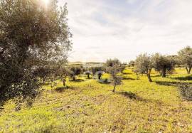 Land Alandroal Land Alandroal