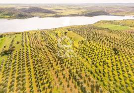 Land Alandroal Land Alandroal