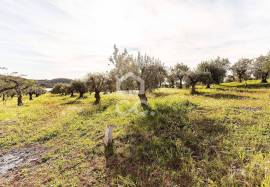 Land Alandroal Land Alandroal