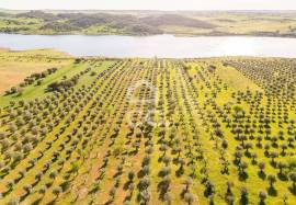 Land Alandroal Land Alandroal