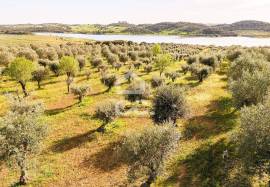 Land Alandroal Land Alandroal