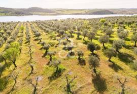 Land Alandroal Land Alandroal