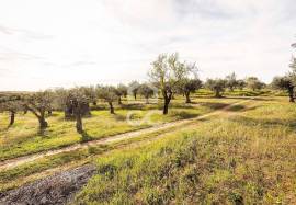 Land Alandroal Land Alandroal