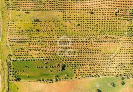 Land Alandroal Land Alandroal