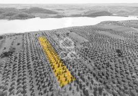 Land Alandroal Land Alandroal