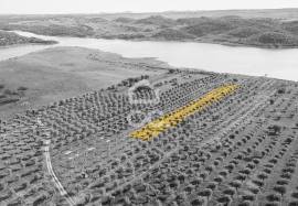 Land Alandroal Land Alandroal