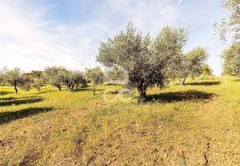 Land Alandroal Land Alandroal