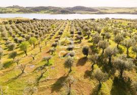 Land Alandroal