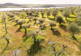 Land Alandroal Land Alandroal