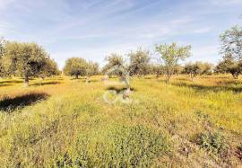 Land Alandroal Land Alandroal