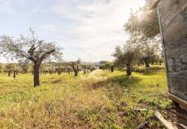 Land Alandroal Land Alandroal