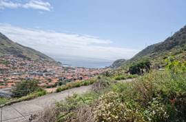 Urban Land - Machico