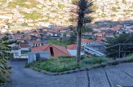 Urban Land - Machico