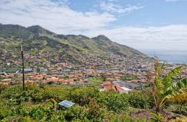 Urban Land - Machico