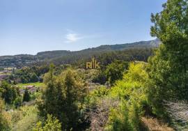 Land with 48.755m2 + Old house + Ruin in Achada do Barro
