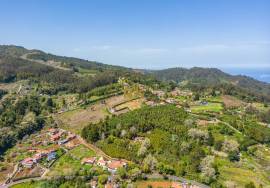Land with 48.755m2 + Old house + Ruin in Achada do Barro