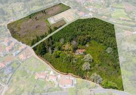 Land with 48.755m2 + Old house + Ruin in Achada do Barro
