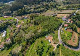 Land with 48.755m2 + Old house + Ruin in Achada do Barro