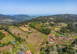 Land with 48.755m2 + Old house + Ruin in Achada do Barro