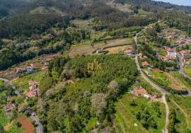 Land with 48.755m2 + Old house + Ruin in Achada do Barro