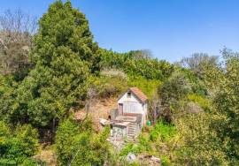 Land with 48.755m2 + Old house + Ruin in Achada do Barro