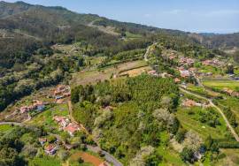 Land with 48.755m2 + Old house + Ruin in Achada do Barro